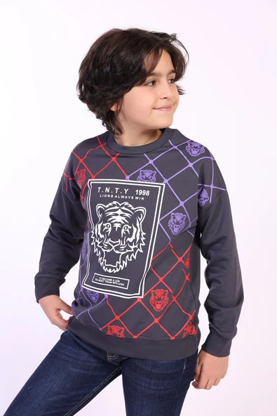 Toontoy Erkek Çocuk Tnty Aslan Baskılı Sweatshirt - 2