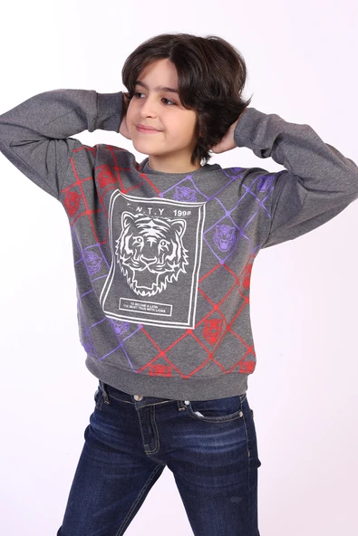 Toontoy Erkek Çocuk Tnty Aslan Baskılı Sweatshirt - 3