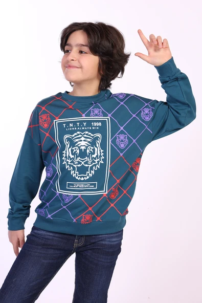 Toontoy Erkek Çocuk Tnty Aslan Baskılı Sweatshirt - 4