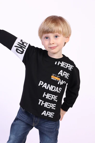 Toontoy Erkek Çocuk Ön Ve Kol Baskılı Sweatshirt - 8