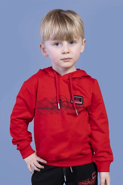 Toontoy Erkek Çocuk Kapüşonlu Baskılı Sweatshirt