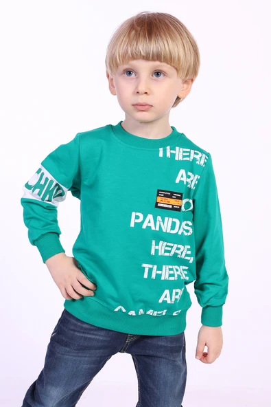Toontoy Erkek Çocuk Ön Ve Kol Baskılı Sweatshirt - 2