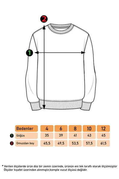 Toontoy Erkek Çocuk Cep Detaylı Baskılı Sweatshirt - 8