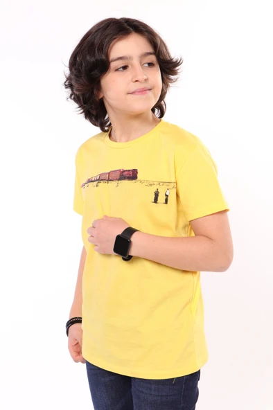 Toontoy Erkek Çocuk  Tren Baskılı Tişört - Resim 6