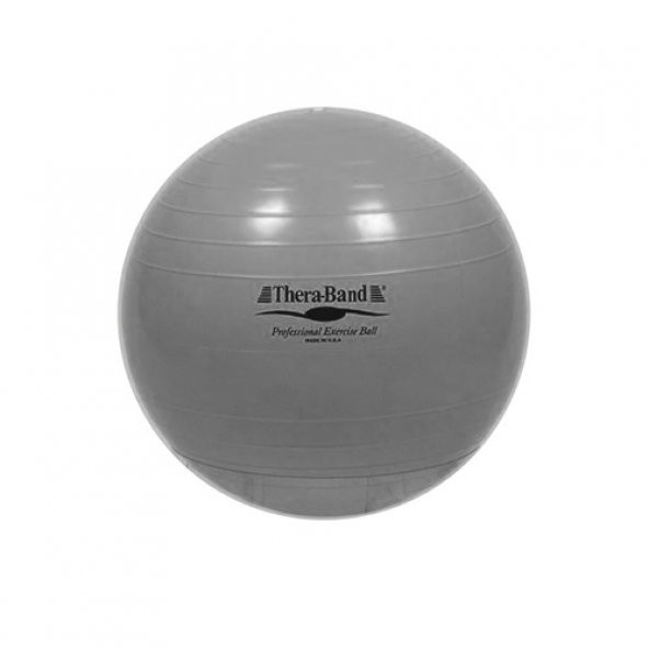 TheraBand® Exercise Balls 85 cm & Abs Ball, Silver