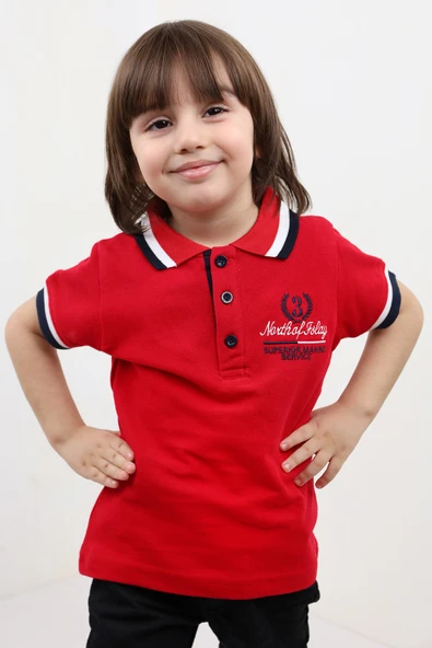 Toontoy Erkek Çocuk Nakışlı Tişört - 8