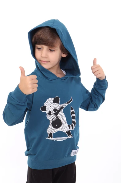 Toontoy Erkek Çocuk Rakun  Baskılı Sweatshirt - 4