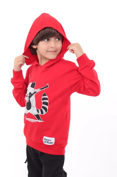 Toontoy Erkek Çocuk Rakun  Baskılı Sweatshirt