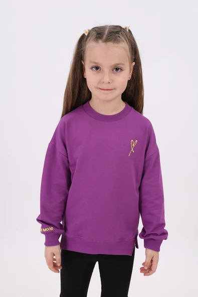 Toontoy Kız Çocuk Nakışlı Sweatshirt - Resim 11