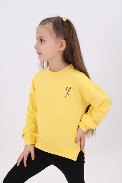 Toontoy Kız Çocuk Nakışlı Sweatshirt ürün görseli 1
