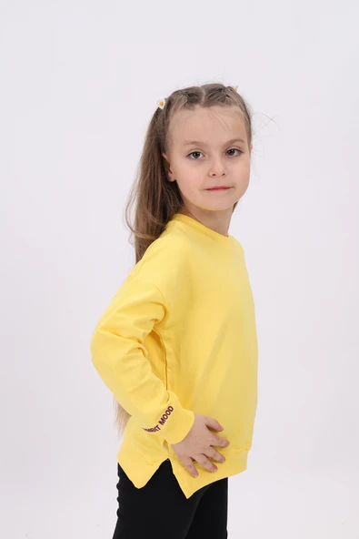 Toontoy Kız Çocuk Nakışlı Sweatshirt - Resim 2