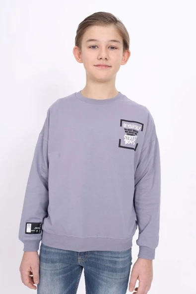 Toontoy Erkek Çocuk Baskılı Sweatshirt - Resim 5