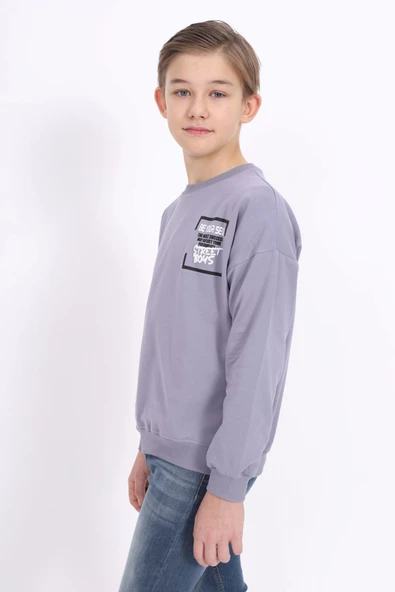 Toontoy Erkek Çocuk Baskılı Sweatshirt - Resim 6