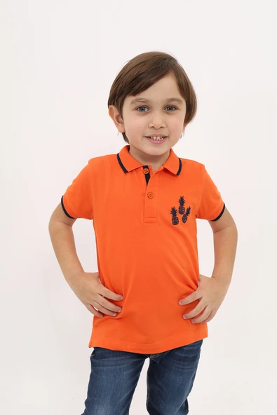 Toontoy Erkek Çocuk Nakışlı Tişört ürün görseli 1