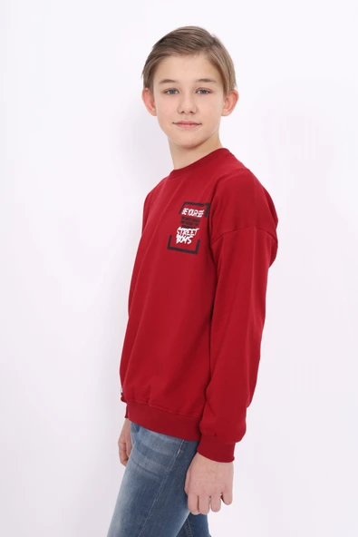 Toontoy Erkek Çocuk Baskılı Sweatshirt - Resim 11