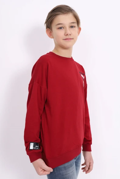 Toontoy Erkek Çocuk Baskılı Sweatshirt - Resim 12