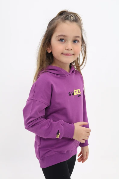 Toontoy Kız Çocuk Nakışlı Sweatshirt - 9