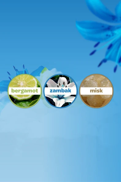 Dalin Bebek Kolonyası Deniz Esinti 150 ml - 3