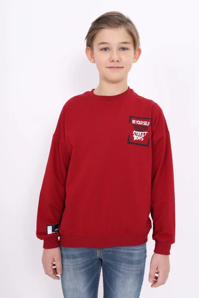 Toontoy Erkek Çocuk Baskılı Sweatshirt - Resim 2