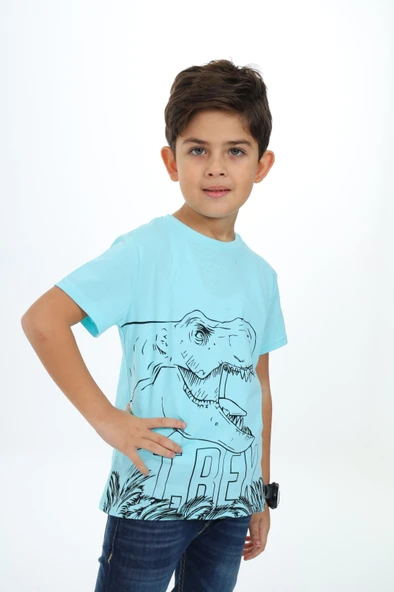 Toontoy Erkek Çocuk Trex Baskılı Tişört - 7