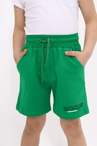 Toontoy Erkek Çocuk Baskılı Şort - 4