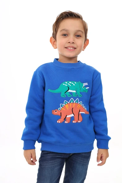 Toontoy Erkek Çocuk Nakışlı Sweatshirt - 6
