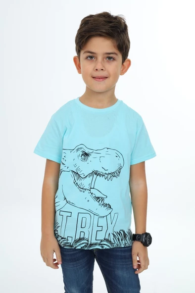 Toontoy Erkek Çocuk Trex Baskılı Tişört - 5