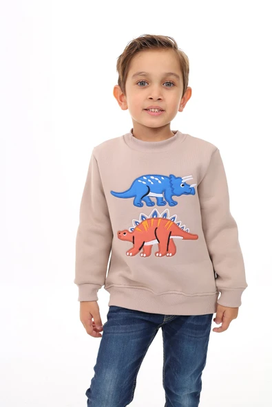 Toontoy Erkek Çocuk Nakışlı Sweatshirt - 3