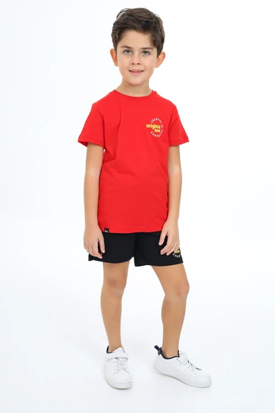 Toontoy Erkek Çocuk Baskılı Şortlu Takım - Resim 5