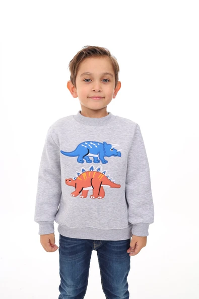 Toontoy Erkek Çocuk Nakışlı Sweatshirt - 5