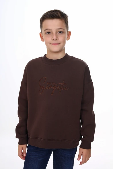 Toontoy Erkek Çocuk Nakışlı Sweatshirt - Resim 2