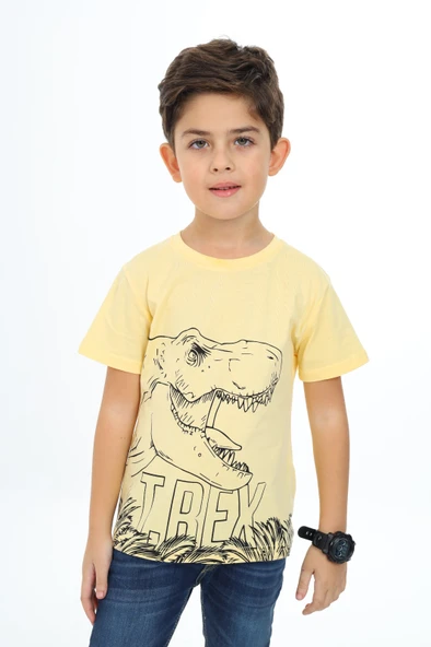 Toontoy Erkek Çocuk Trex Baskılı Tişört - 9