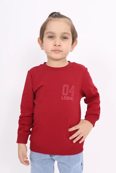 Toontoy Erkek Çocuk Baskılı Sweatshirt - 5