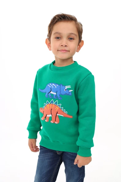Toontoy Erkek Çocuk Nakışlı Sweatshirt - 10