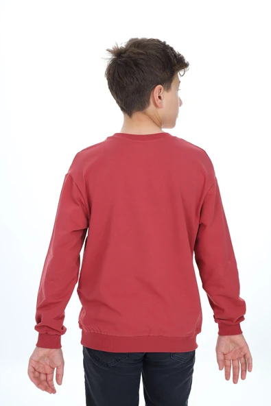 Toontoy Erkek Çocuk New Project  Baskılı Sweatshirt - 4