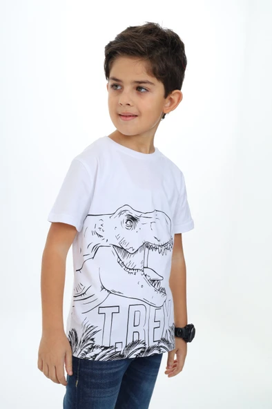 Toontoy Erkek Çocuk Trex Baskılı Tişört - 2