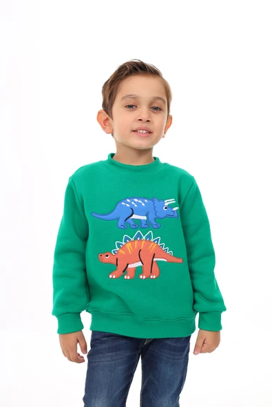 Toontoy Erkek Çocuk Nakışlı Sweatshirt - 9