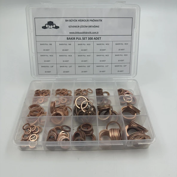 Bakır Pul seti - Resim 3