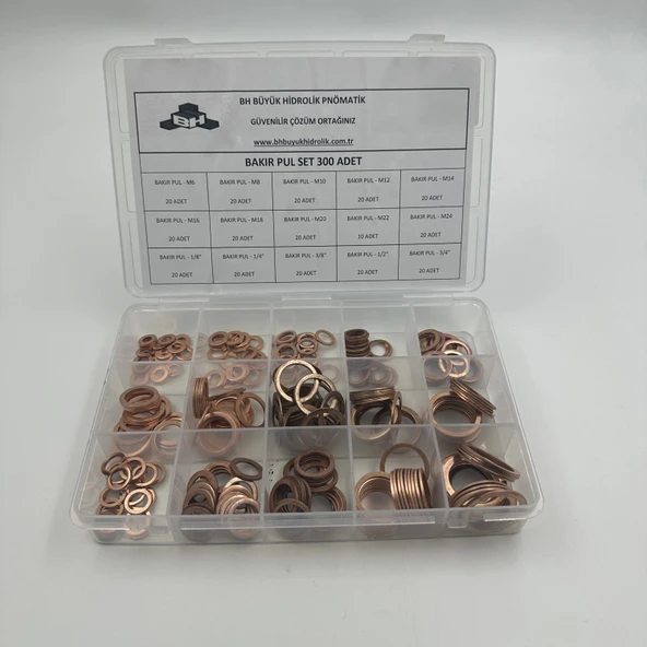 Bakır Pul seti - Resim 5