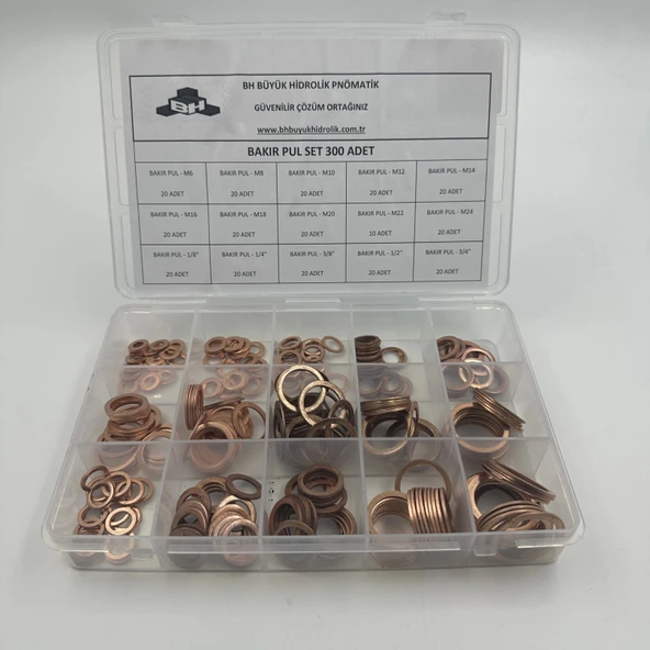 Bakır Pul seti - Resim 4