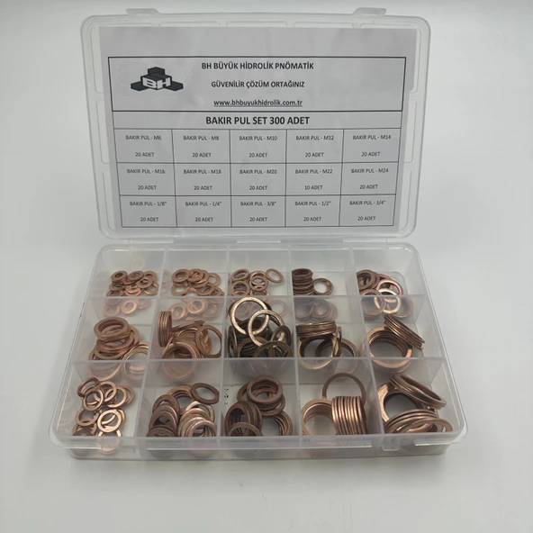 Bakır Pul seti - Resim 2