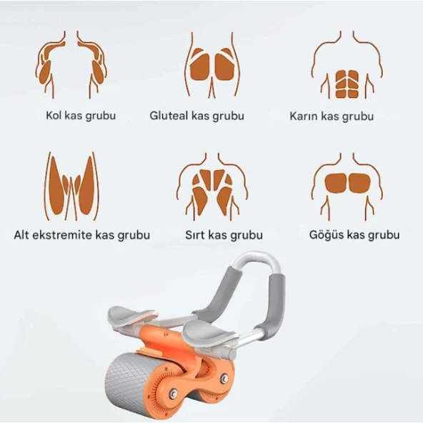AB Roller Karın Kası Egzersiz Tekerleği - 2