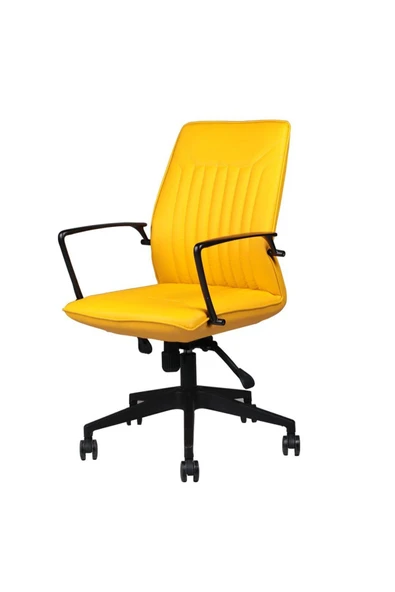 Koltukstilim   T-001-Sr Deri Çalışma Koltuğu - Resim 2