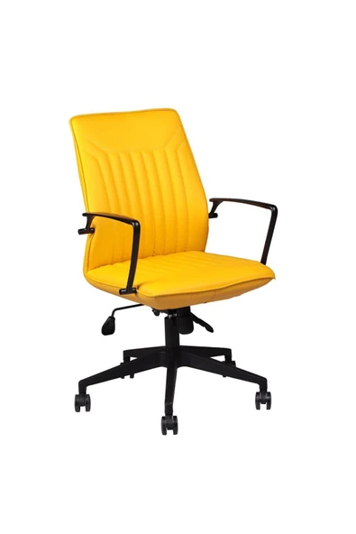 Koltukstilim   T-001-Sr Deri Çalışma Koltuğu - Resim 4