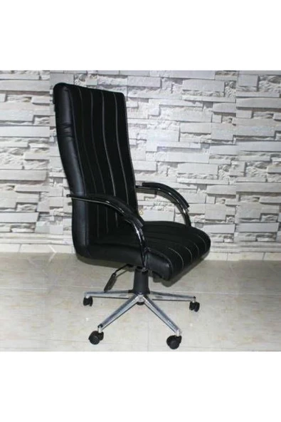 Koltukstilim   X-9 Makam Koltuğu - Resim 2