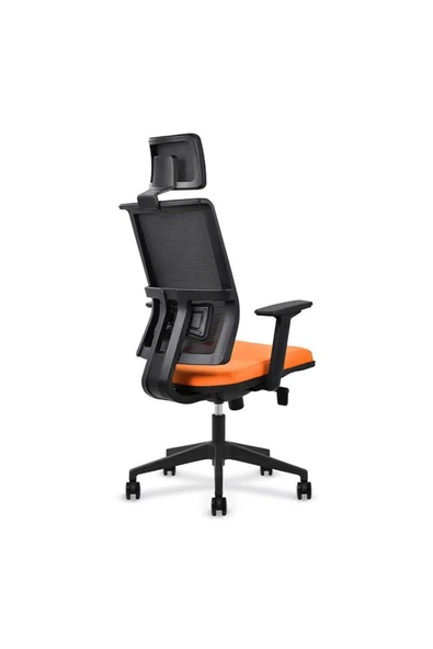 Koltukstilim    FlexiForm Fileli Yönetici Koltuğu - 2