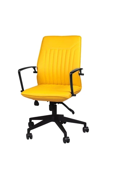 Koltukstilim   T-001-Sr Deri Çalışma Koltuğu - Resim 3