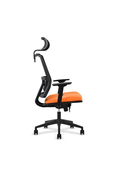 Koltukstilim    FlexiForm Fileli Yönetici Koltuğu - 3