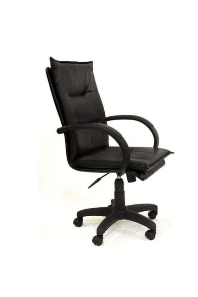 Koltukstilim   Prestij Pls Makam Koltuğu - Resim 2