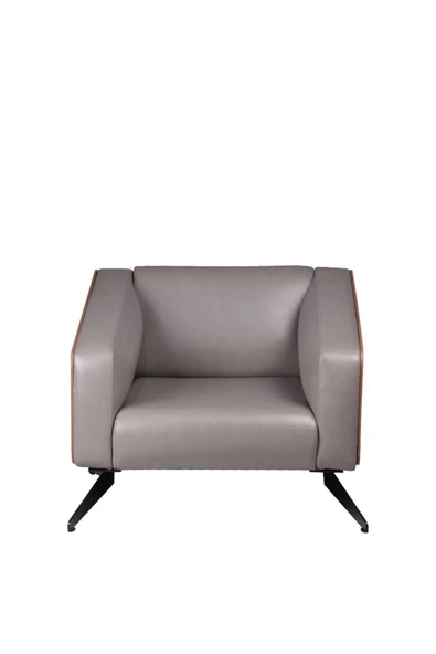 Koltukstilim   Sparrow Gri Deri Tekli Kanepe - Resim 2